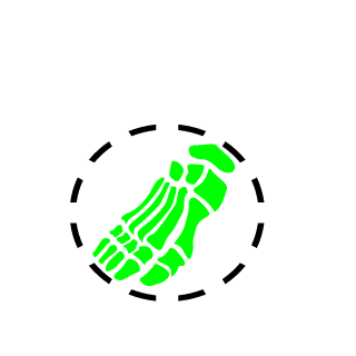 19_R_a_M_b_0's emblem