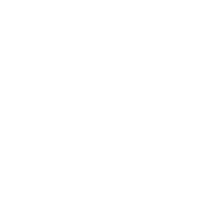 SkydiversPiggy's emblem