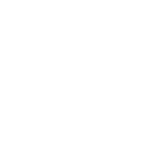 BloodsquadNL's emblem
