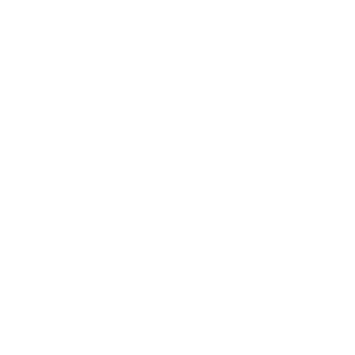 B0wstr1Ng's emblem
