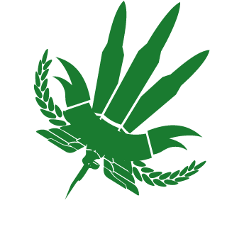 ChaseDragon777's emblem