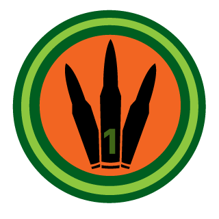 PsykoBrain's emblem