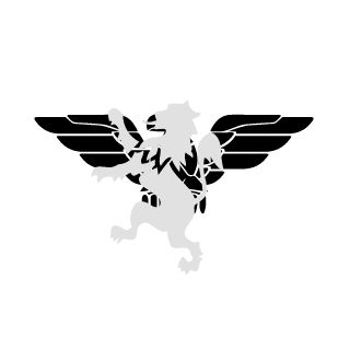 AAMICARINSURANCE's emblem