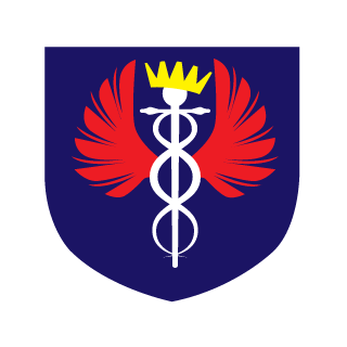BushidoDoc's emblem