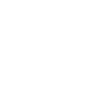 chainzster's emblem