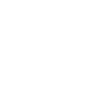 101AD-SJ's emblem