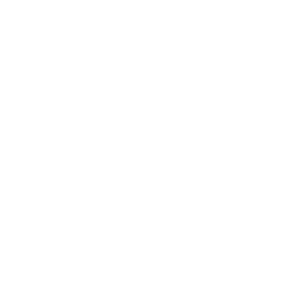 Solar63's emblem