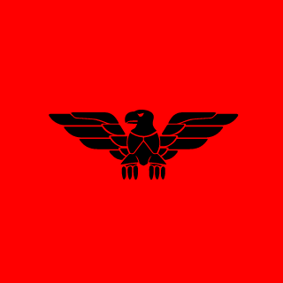 HaynekeeiN's emblem