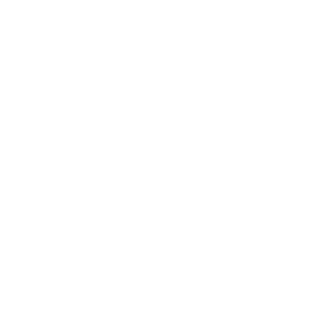 Lightbulb2422's emblem