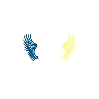 theGARBAGEgoose's emblem