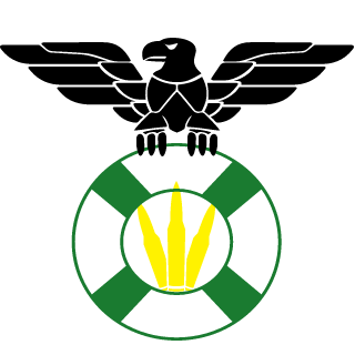 Nachtschwaermer1's emblem