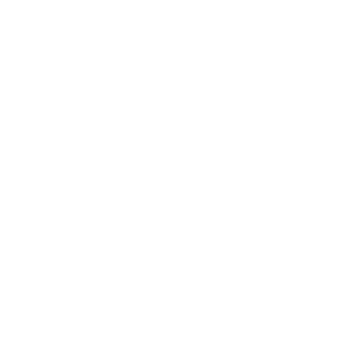 vorbeigeschossen's emblem