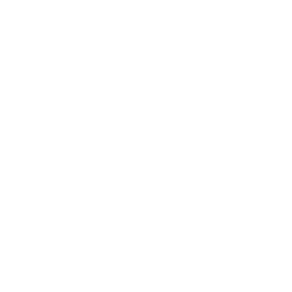 LenyhanSVK's emblem