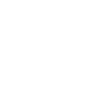 BadassFlamingo's emblem