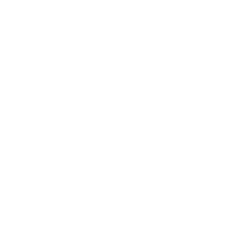 rodionp4elka's emblem