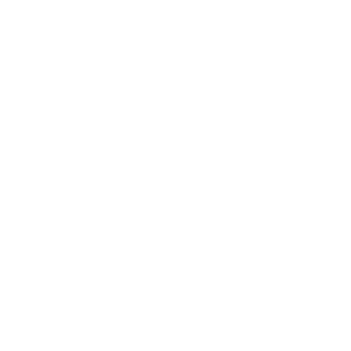 NASSER_ALSAUDI's emblem
