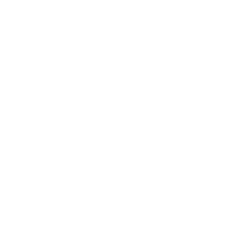 NasumX's emblem