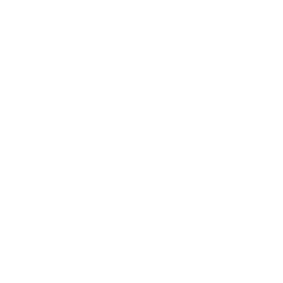 MEGALODONGERS's emblem