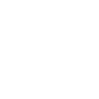 PAT-MARCUS's emblem