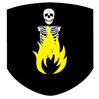 Zigzagman920's emblem