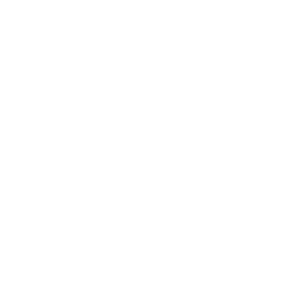 Daminian13's emblem