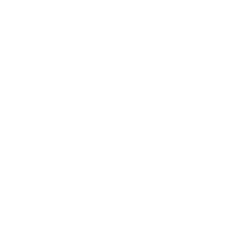 BR34CH3R's emblem
