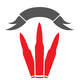 2Navy's emblem