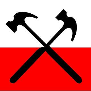 SirRayBlack's emblem