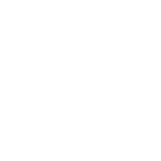 V3ZS's emblem