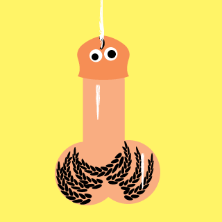 Snaplsmegy's emblem