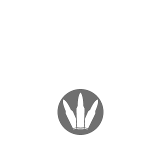 spauler3's emblem
