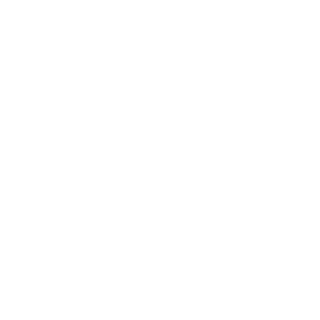 Lunaari13's emblem
