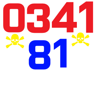 SAINTZ81's emblem