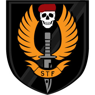 Special Tactics Force's emblem