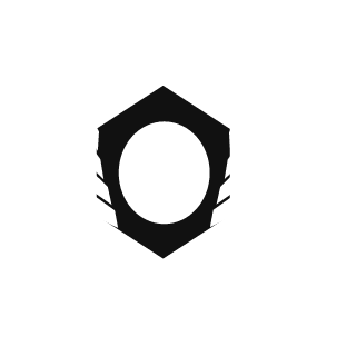 Gaucho25_ARG's emblem