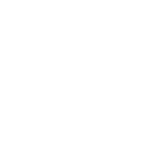 bullyhunter47's emblem