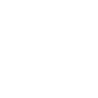FDM 117's emblem