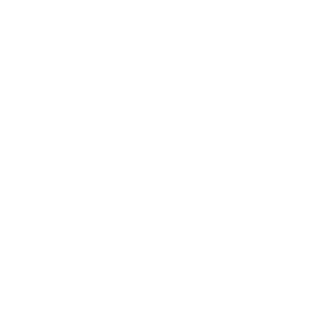 SteVieG2210's emblem