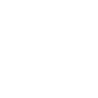 crocsnglizzys's emblem