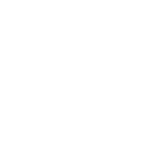 0SoFly0's emblem