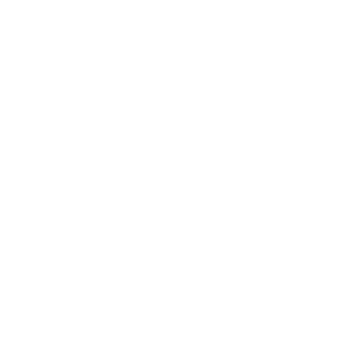 shtylez's emblem