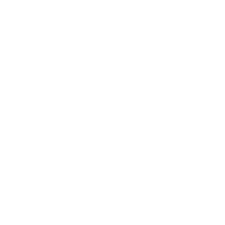 chanfsi's emblem