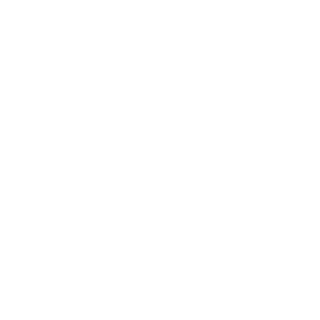 Realkleanupman's emblem