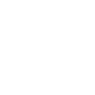 SheATim228's emblem