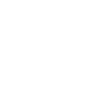 Tokiy11224's emblem
