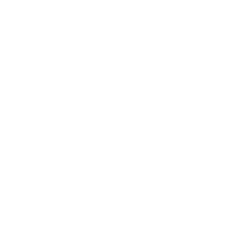 RobotMurdoch's emblem