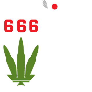 666BMW666's emblem
