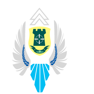 Viktor96kill's emblem