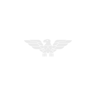 Bayneco's emblem