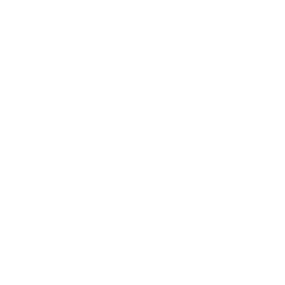 paranoidlan's emblem